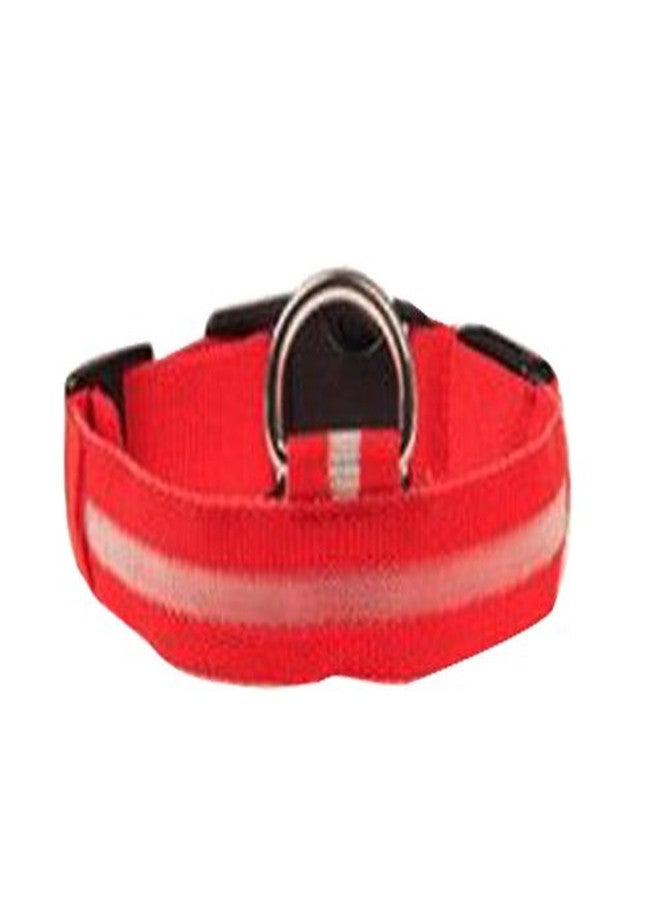 Futaba Nylon Pet Glow in Dark LED Collar Night Safety - Red -Small - Image 3